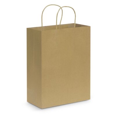 Paper Carry Bag - Large-Natural