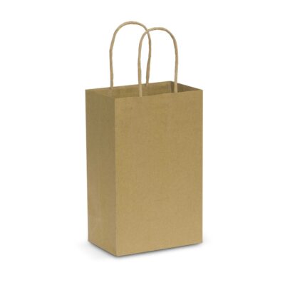 Paper Carry Bag - Small-Natural