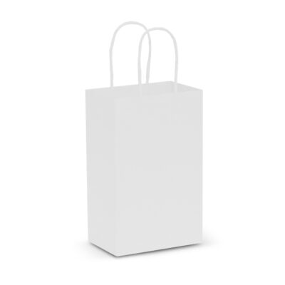 Paper Carry Bag - Small-White