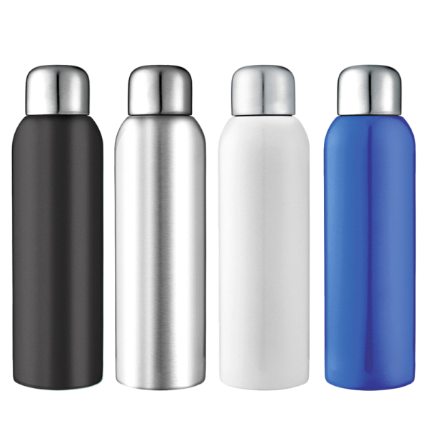 guzzle-stainless-sports-bottle