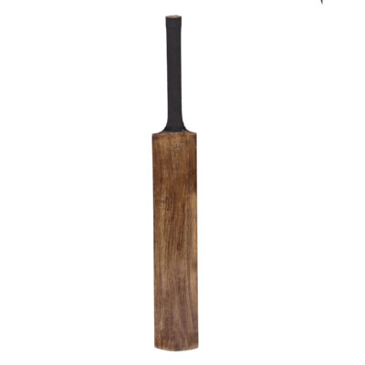 backyard-cricket-set-back-of-bat